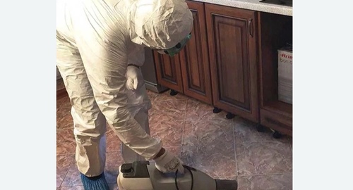 Уничтожение тараканов в квартире. ЗАО Москвы